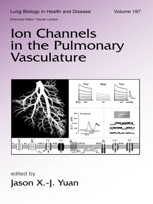 cover image of Ion Channels in the Pulmonary Vasculature